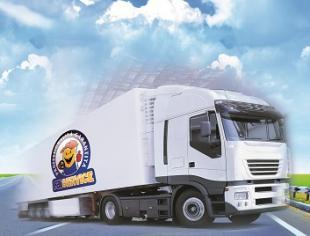 P_20_camion_bianco