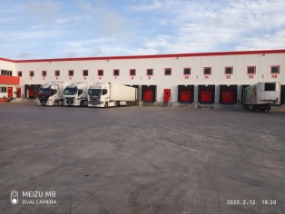 n2_(2)