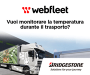 Webfleet