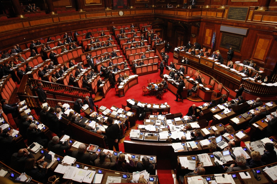 2013-01-senato-ansa1