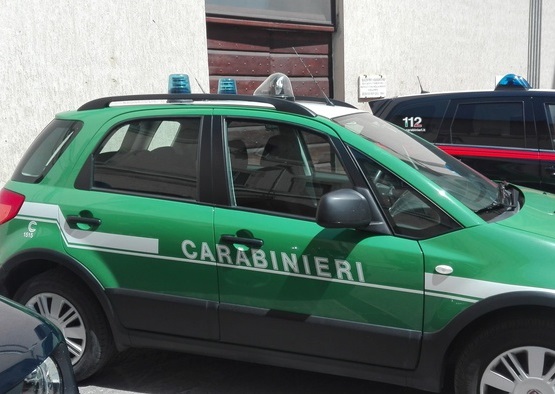 AREA_SOSTE_CAMION_TRANSPORTONLINE