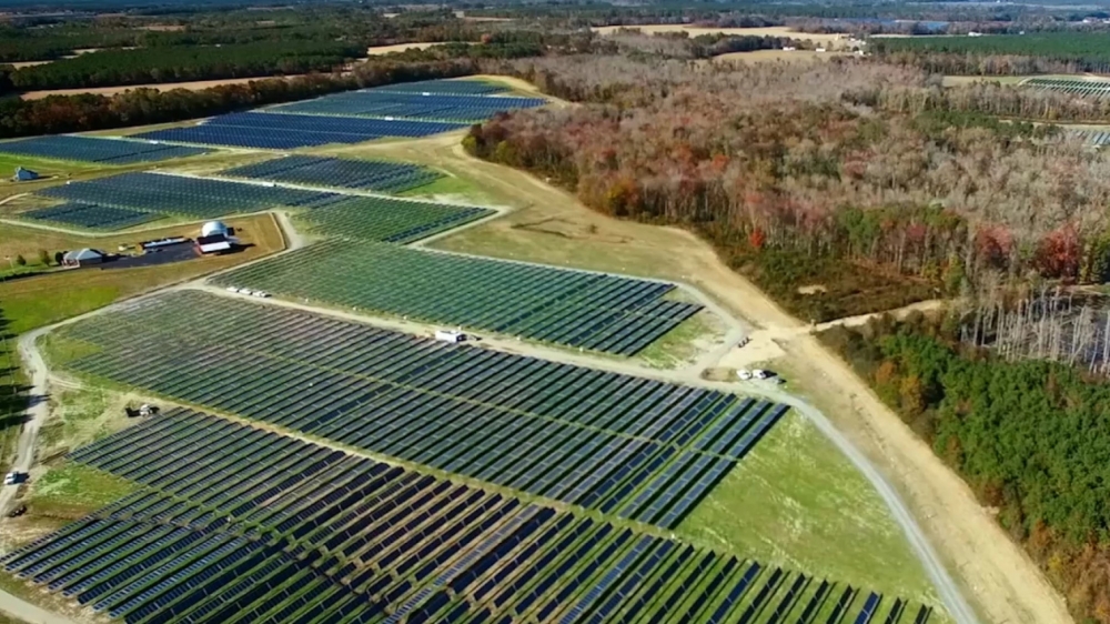 Amazon_energia_rinnovabile_in_Europa_transportonline