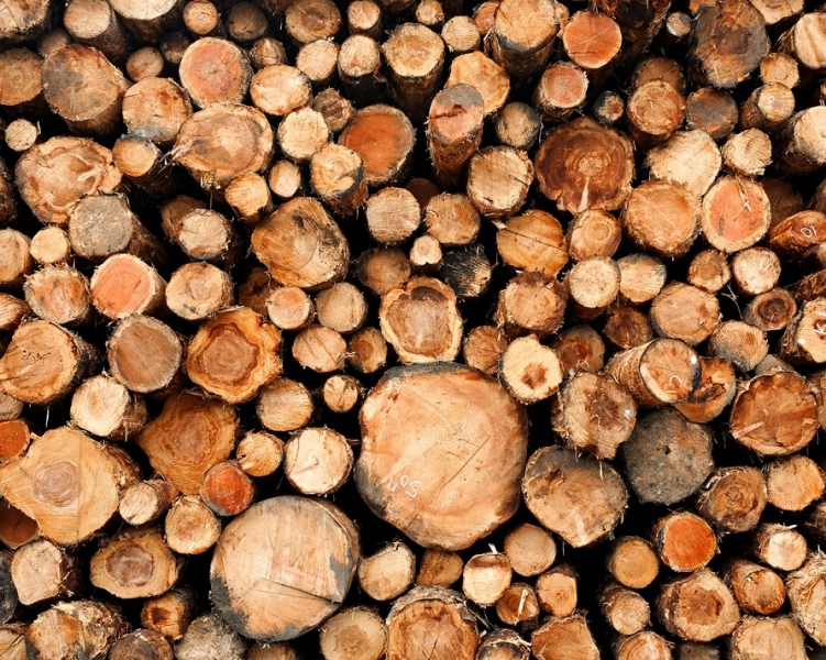AsstrA_Wood_and_Paper_Logistics