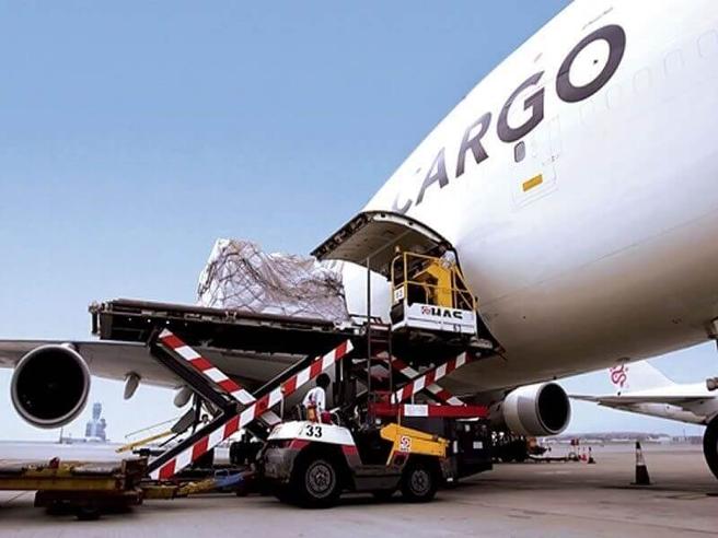 CARGO_VACCINI