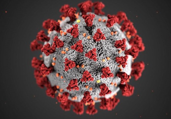 COVID_VACCINAZIONE_MARITTIMI_TRANSPORTONLINE
