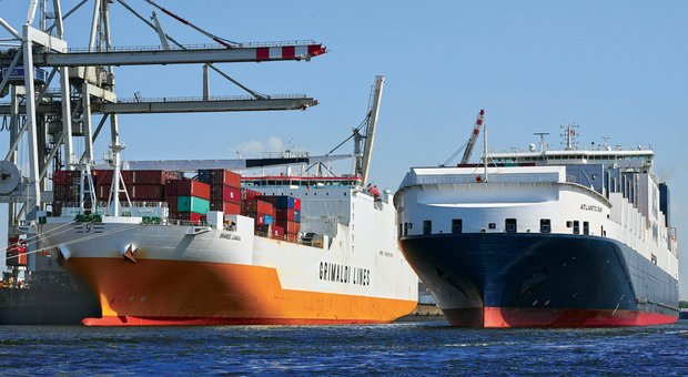 Grimaldi_Graduate_Program_TRANSPORTONLINE
