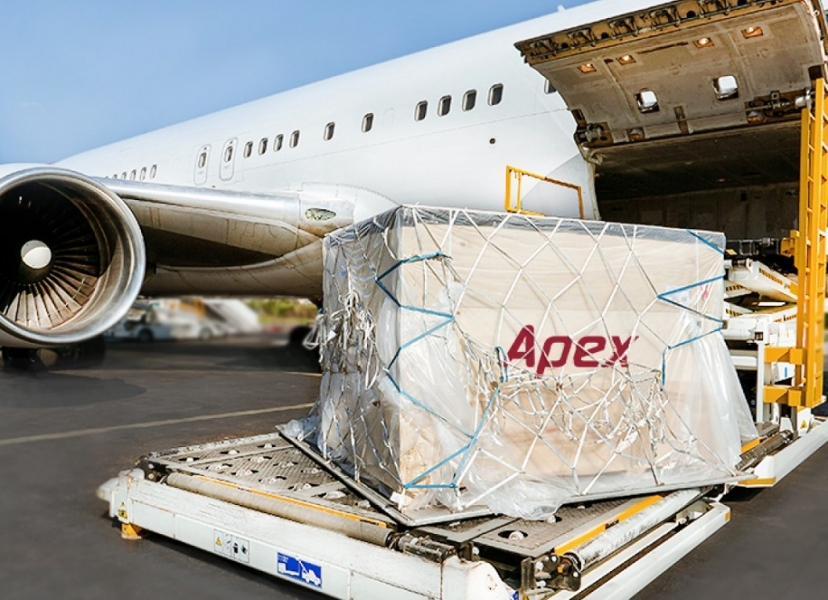Kuehne_Nagel_acquires_Apex_transportonline