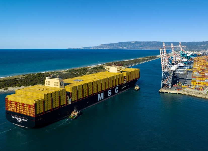MSC_Celestino_Maresca_a_GT_TRANSPORTONLINE