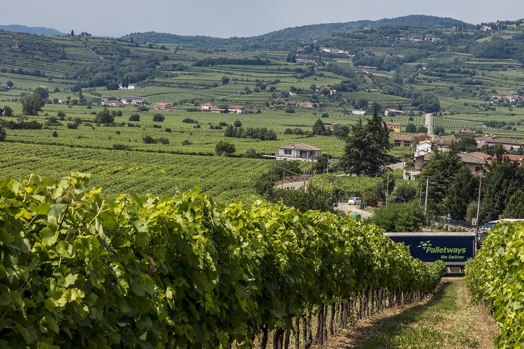 Palletways_Italia_Vinitaly_2025_TRANSPORTONLINE