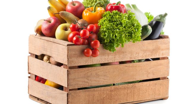 agrifood
