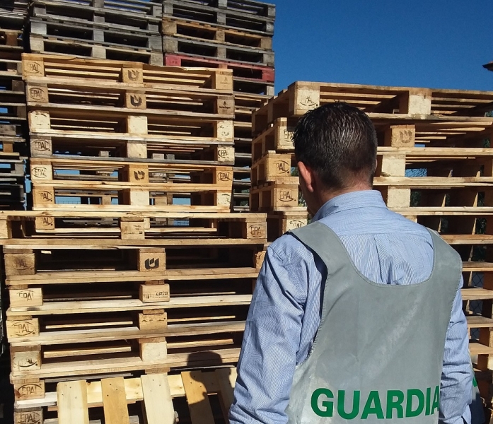 azienda_abusiva_di_pallet_palermo