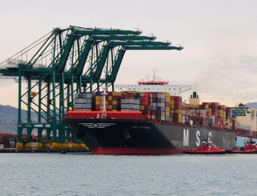 msc_istanbulgenova