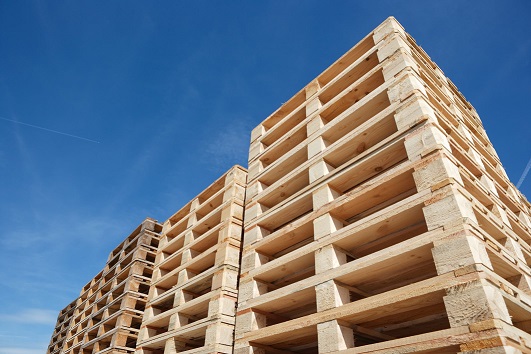 normativa_pallet_transportonline