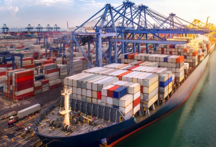 terminal_container_fedespedi_transportonline